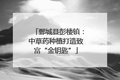 鄄城县彭楼镇：中草药种植打造致富“金钥匙”