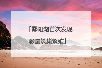 鄱阳湖首次发现彩鹮筑巢繁殖