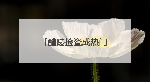 醴陵捡瓷成热门周边游，长沙本地“捡瓷市集”卖出10元4件低价