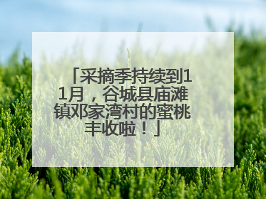 采摘季持续到11月，谷城县庙滩镇邓家湾村的蜜桃丰收啦！