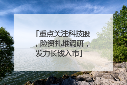 重点关注科技股，险资扎堆调研，发力长钱入市