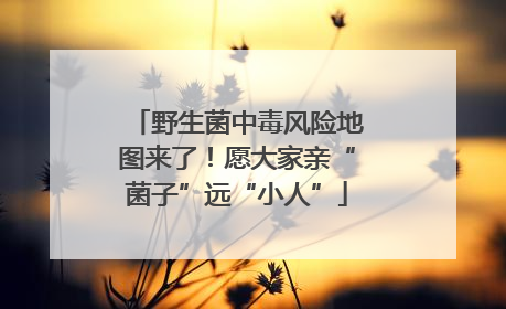 野生菌中毒风险地图来了！愿大家亲“菌子”远“小人”