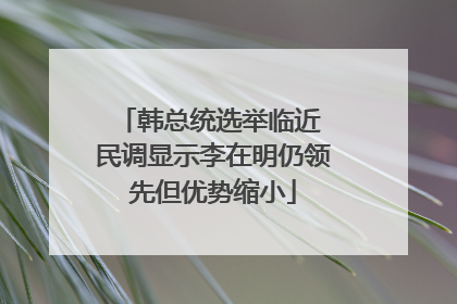 韩总统选举临近 民调显示李在明仍领先但优势缩小