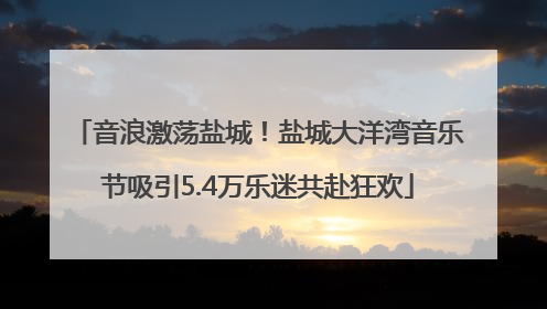 音浪激荡盐城！盐城大洋湾音乐节吸引5.4万乐迷共赴狂欢
