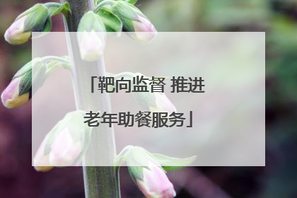 靶向监督 推进老年助餐服务