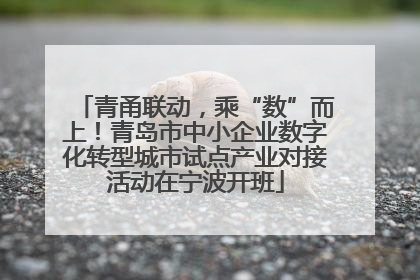 青甬联动，乘“数”而上！青岛市中小企业数字化转型城市试点产业对接活动在宁波开班