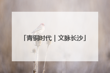 青铜时代｜文脉长沙