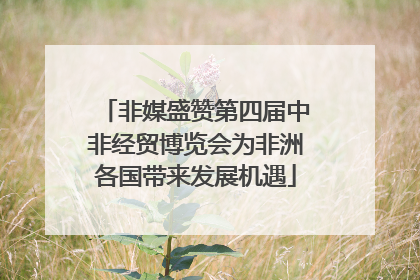 非媒盛赞第四届中非经贸博览会为非洲各国带来发展机遇