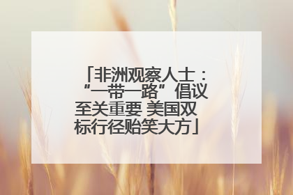 非洲观察人士：“一带一路”倡议至关重要 美国双标行径贻笑大方