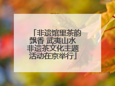 非遗馆里茶韵飘香 武夷山水非遗茶文化主题活动在京举行