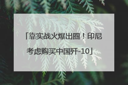 靠实战火爆出圈！印尼考虑购买中国歼-10