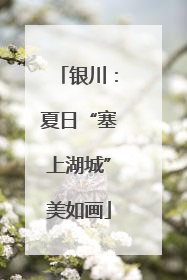 银川：夏日“塞上湖城”美如画