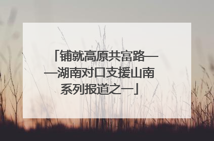 铺就高原共富路——湖南对口支援山南系列报道之一