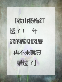 铁山杨梅红透了！一年一遇的酸甜风暴 再不来就真错过了