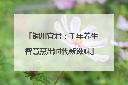铜川宜君：千年养生智慧烹出时代新滋味