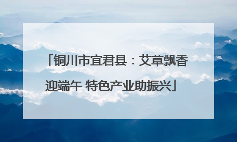 铜川市宜君县：艾草飘香迎端午 特色产业助振兴