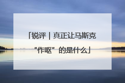 锐评｜真正让马斯克“作呕”的是什么