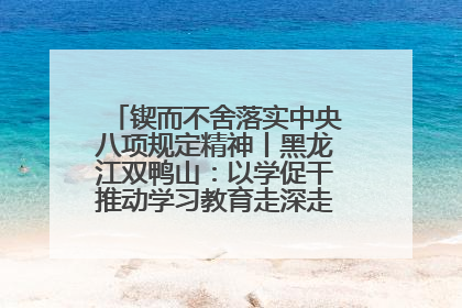 锲而不舍落实中央八项规定精神丨黑龙江双鸭山：以学促干推动学习教育走深走实 从小事入手写好“民生答卷”