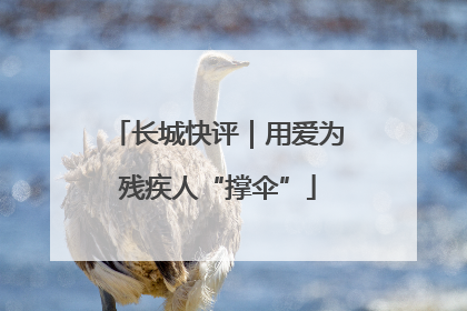 长城快评｜用爱为残疾人“撑伞”