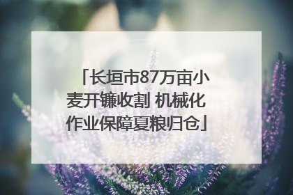 长垣市87万亩小麦开镰收割 机械化作业保障夏粮归仓