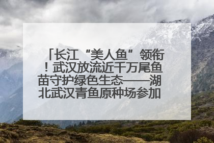 长江“美人鱼”领衔！武汉放流近千万尾鱼苗守护绿色生态——湖北武汉青鱼原种场参加2025年“全国放鱼日”增殖放流活动