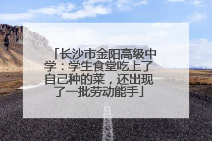 长沙市金阳高级中学：学生食堂吃上了自己种的菜，还出现了一批劳动能手