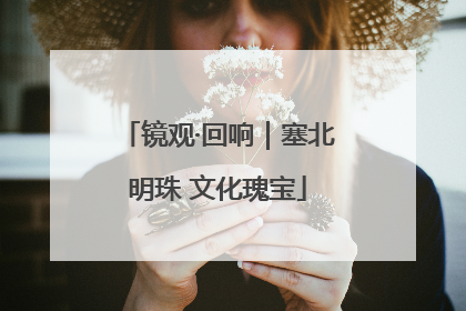 镜观·回响｜塞北明珠 文化瑰宝
