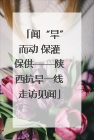 闻“旱”而动 保灌保供——陕西抗旱一线走访见闻