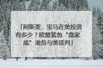 阿斯麦、宝马在美投资有多少？欧盟紧急“盘家底”准备与美谈判
