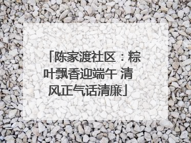 陈家渡社区：粽叶飘香迎端午 清风正气话清廉