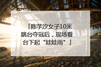 陈芋汐女子10米跳台夺冠后，现场看台下起“娃娃雨”