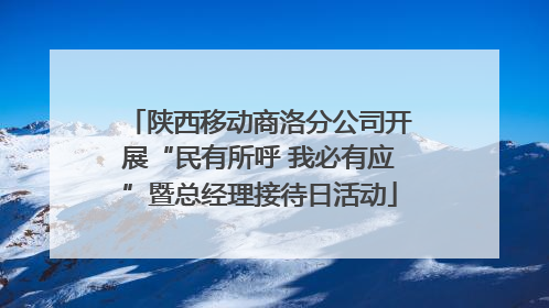 陕西移动商洛分公司开展“民有所呼 我必有应”暨总经理接待日活动