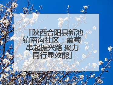 陕西合阳县新池镇南沟社区：葡萄串起振兴路 聚力同行显效能