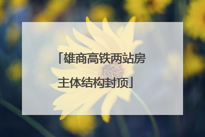 雄商高铁两站房主体结构封顶