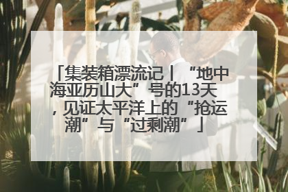 集装箱漂流记丨“地中海亚历山大”号的13天，见证太平洋上的“抢运潮”与“过剩潮”