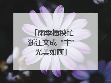 雨季插秧忙 浙江文成“丰”光美如画