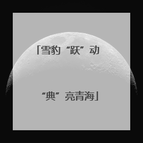 雪豹“跃”动 “典”亮青海
