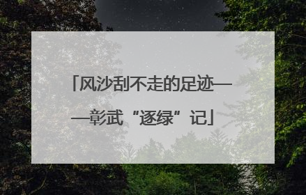 风沙刮不走的足迹——彰武“逐绿”记