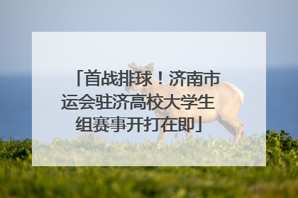 首战排球！济南市运会驻济高校大学生组赛事开打在即