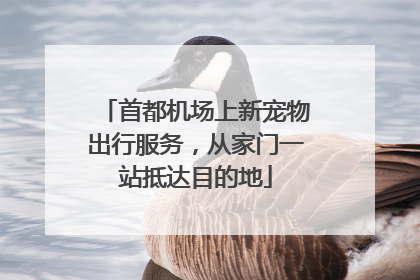 首都机场上新宠物出行服务，从家门一站抵达目的地