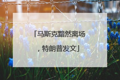 马斯克黯然离场，特朗普发文