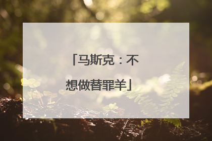 马斯克：不想做替罪羊