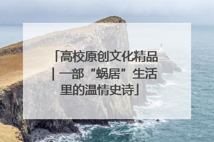 高校原创文化精品｜一部“蜗居”生活里的温情史诗