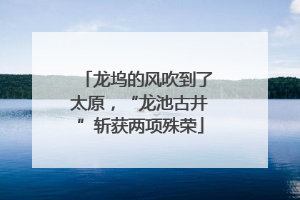 龙坞的风吹到了太原，“龙池古井”斩获两项殊荣