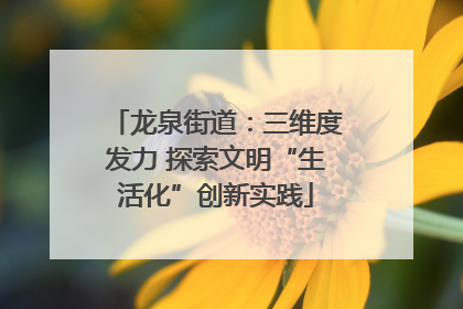 龙泉街道：三维度发力 探索文明“生活化”创新实践