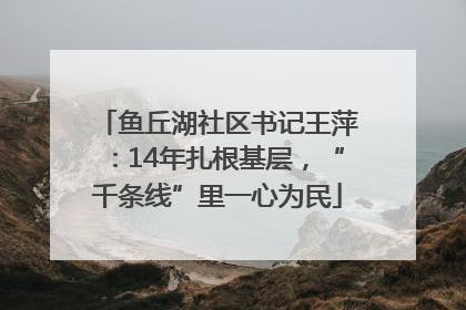 鱼丘湖社区书记王萍：14年扎根基层，“千条线”里一心为民