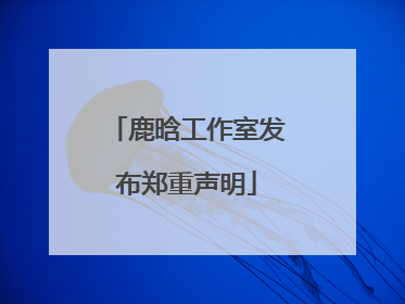鹿晗工作室发布郑重声明
