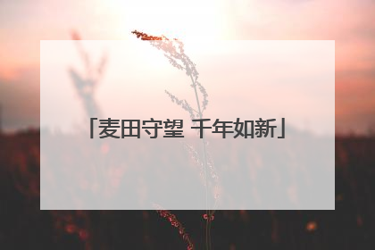 麦田守望 千年如新
