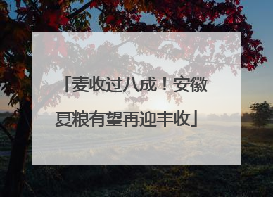 麦收过八成！安徽夏粮有望再迎丰收