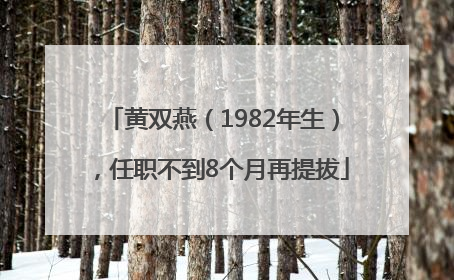 黄双燕（1982年生），任职不到8个月再提拔